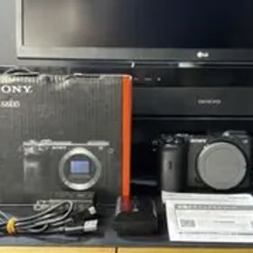 Sony α6600 ミラーレスカメラ 動作確認済 箱付き！