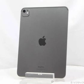 〔中古品〕 iPad Pro 11インチ 第5世代 標準ガラス 256GB スペースブラック 3M772J／A Wi-Fi【349】