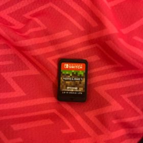 マインクラフトソフトのみ