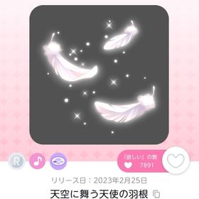 天空に舞う天使の羽根 | ポケコロツイン(ポケツイ)のアカウントデータ、RMTの販売・買取一覧