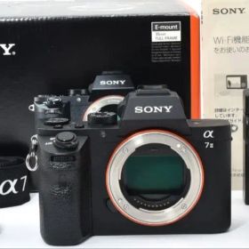 sony a7Ⅱ ILCE-7M 一眼レフカメラ【ショット数 17,000程度】