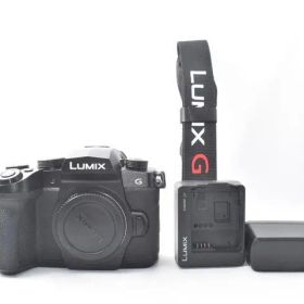 【美品】Panasonic LUMIX DC-G99 ボディ