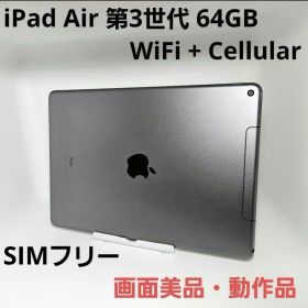 画面美品 iPad Air 第3世代 WiFi Cellular SIMフリー