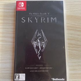 The Elder Scrolls V: Skyrim Switch スカイリム