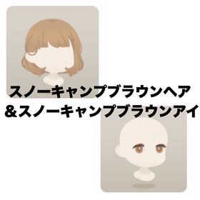 スノーキャンプブラウンヘア SR ＆スノーキャンプブラウンアイ SR | リヴリーアイランドのアイテム、RMTの販売・買取一覧
