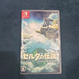 ゼルダの伝説 ティアーズ・オブ・ザ・キングダム