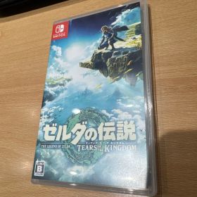 ゼルダの伝説 ティアーズ オブ ザ キングダム