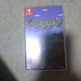 テラリアSwitch(家庭用ゲームソフト)