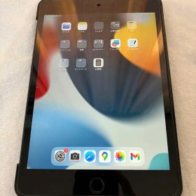 iPad mini5本体 64GB Wi-Fiモデル スペースグレイ 使用品