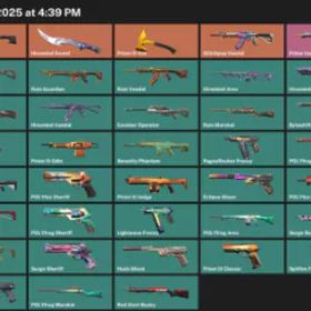 53 スキン | ルインダガー +10K VP インビュー。