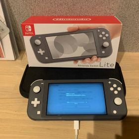 Nintendo Switch Lite グレー