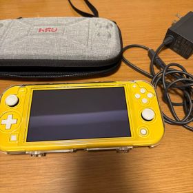 Switch light ケース付き