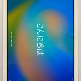 iPad 第5世代 9.7インチ 128GB Wi-Fiモデル（2017年）