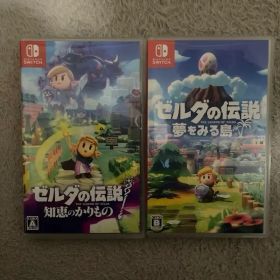 ゼルダの伝説 夢をみる島、知恵のかりもの2本