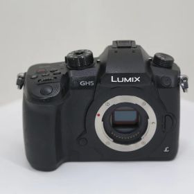 【中古】(パナソニック) Panasonic DC-G9-K