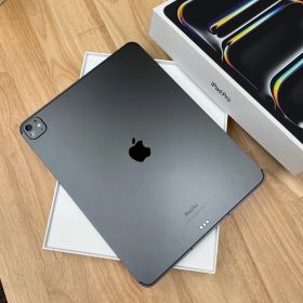 iPad Pro 13インチ M4チップ Nano-Textureガラス 2TB セルラー送料無料