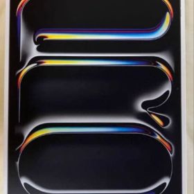 【apple care加入済 残約２年】iPadPro 13インチ 2TB M4