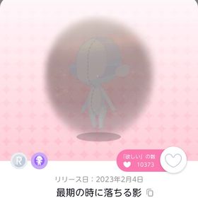 最期の時に落ちる影 | ポケコロツイン(ポケツイ)のアイテム、RMTの販売・買取一覧