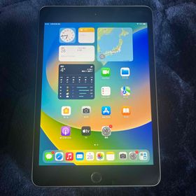 アップル(Apple)のiPad mini 第5世代 256GB(タブレット)