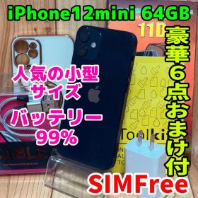 SIMフリー 本体 iPhone 12 mini 64GB ブラック049