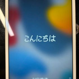 iPad mini4 64gb wifiモデル