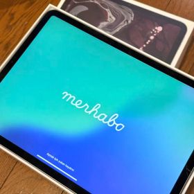 iPad Pro 11インチ 256GB MTXQ2J/A スペースグレイ