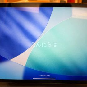 iPad Pro(第三世代) 11インチ WiFi 256GB