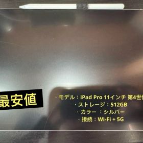 ✨iPadPro11インチ 第4世代 Wi-Fi+ Cellular 512GB
