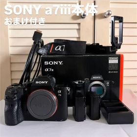 SONY α7iii 本体 おまけ付き
