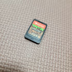 Minecraft ソフトのみ