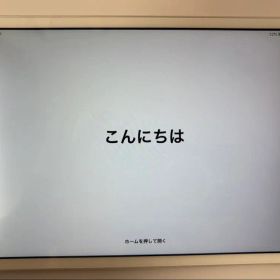 iPad mini 初代 16GB Wi-Fi 動作品 初期化済 表彰刻印