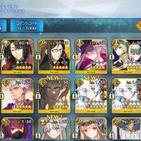 在庫1(アーキタイプ5石2000↑1000未) | FGOのアカウントデータ、RMTの販売・買取一覧