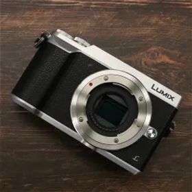 【極上品】 Panasonic Lumix DMC-GX7MK2-S シルバー #6436