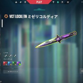 限定ナイフ有り🦀イモータル引退垢 VCTナイフ | VALORANT(ヴァロラント)のアカウントデータ、RMTの販売・買取一覧