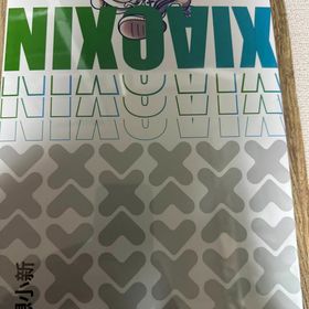 Xiaoxin pad pro 2025 8gb 128gb LUNA GREY(タブレット)