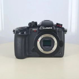 【中古】 (パナソニック) Panasonic DC-GH5S OverSeas Model【中古カメラ デジタル一眼】 ランク：B