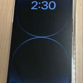 【美品】Apple iPhone 14 Pro スペースブラック 256GB