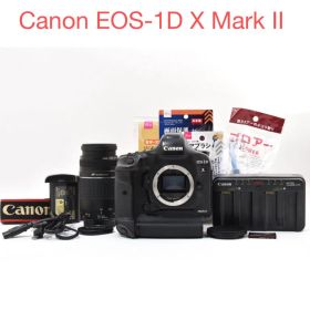 Canon EOS-1D X Mark IIレンズセット/EF75-300mm