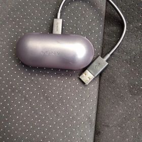 SONY ワイヤレスイヤホン ブラック WF-C500