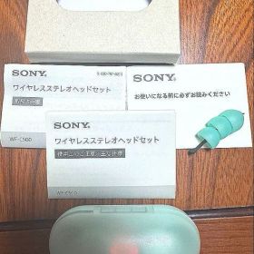【中古、美品】SONY WF-C500 ワイヤレスイヤホン ミントグリーン