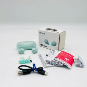 ソニー(SONY) 完全ワイヤレスイヤホン WF-C500 : /軽量小型5.4g/高精度通話品質/簡単ペアリング/IPX4防滴性能/アイスグリーン