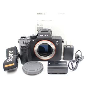シャッター数19344枚 SONY α7III ボディ ブラック ミラーレス一眼カメラ ILCE-7M3 ソニー