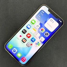SIMロック解除済 iPhone 12 Pro Max 256GB ゴールド MGD13J/A ジャンク