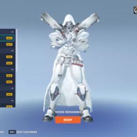 シルバー ダメージ