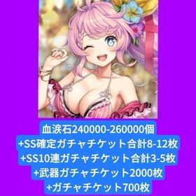 血涙石240000-260000個+SS確定ガチャチケット合計8-12枚+SS10連ガチャチケット合 | ミナシゴノシゴトのアカウントデータ、RMTの販売・買取一覧