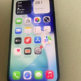 Apple iPhone 12 64GB sim フリー