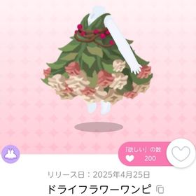ドライフラワーワンピ 双子分 【DF15】 | ポケコロツイン(ポケツイ)のアカウントデータ、RMTの販売・買取一覧