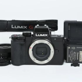 【美品】 パナソニック LUMIX DC-G100 レンズキット SC数2065