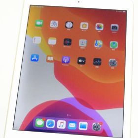 iPad Air 2 16GB A1567 MH1C2J/A docomo