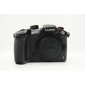 パナソニック Panasonic ミラーレス一眼 ボディ フォーサーズ LUMIX DC-GH5S